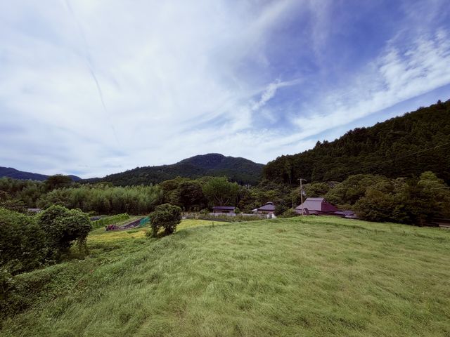 Ohara