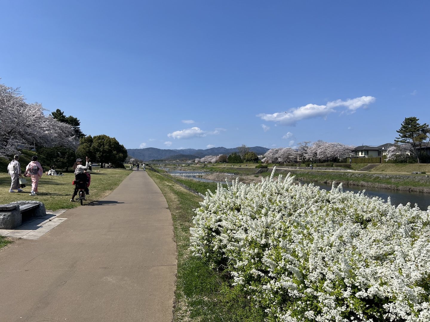 Spring 2026 Kamogawa view