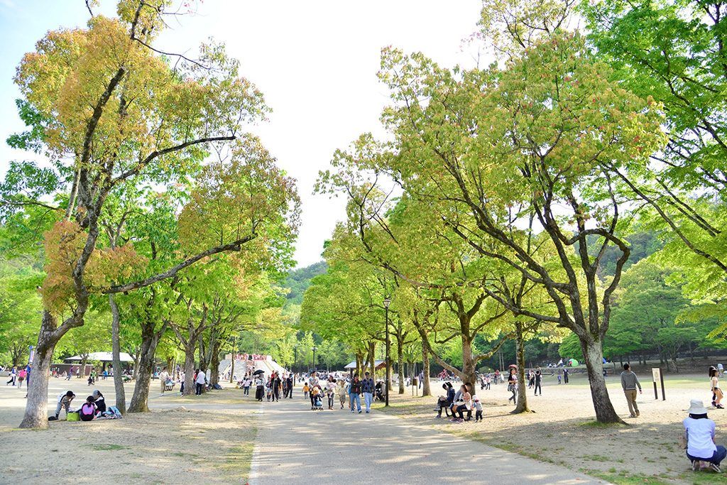kodomo rakuen