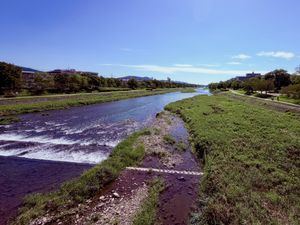 First sunshine after weeks of rain, Kamogawa, Kyoto