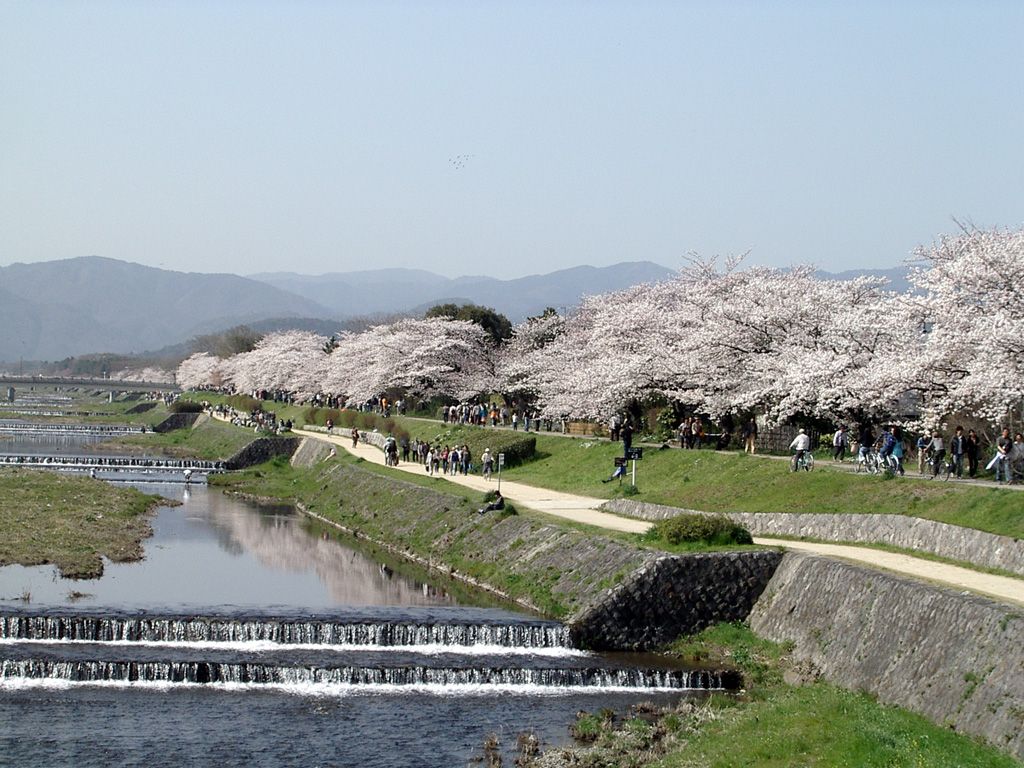 Kamogawa, Kyoto